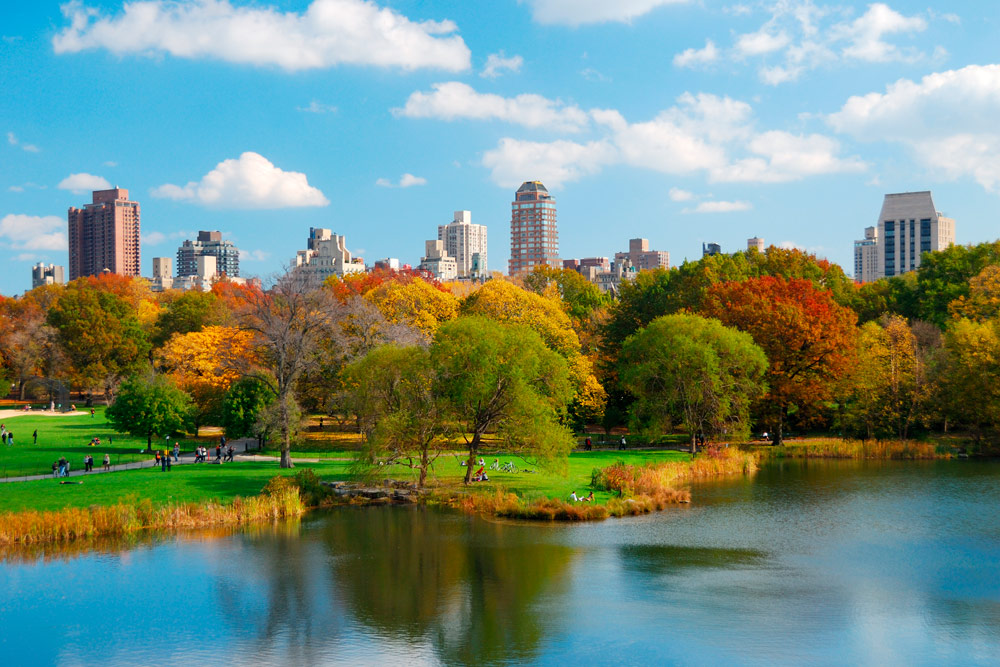 New York Ellington West Village/ Lower Manhattan - Luxury Destination Club NY