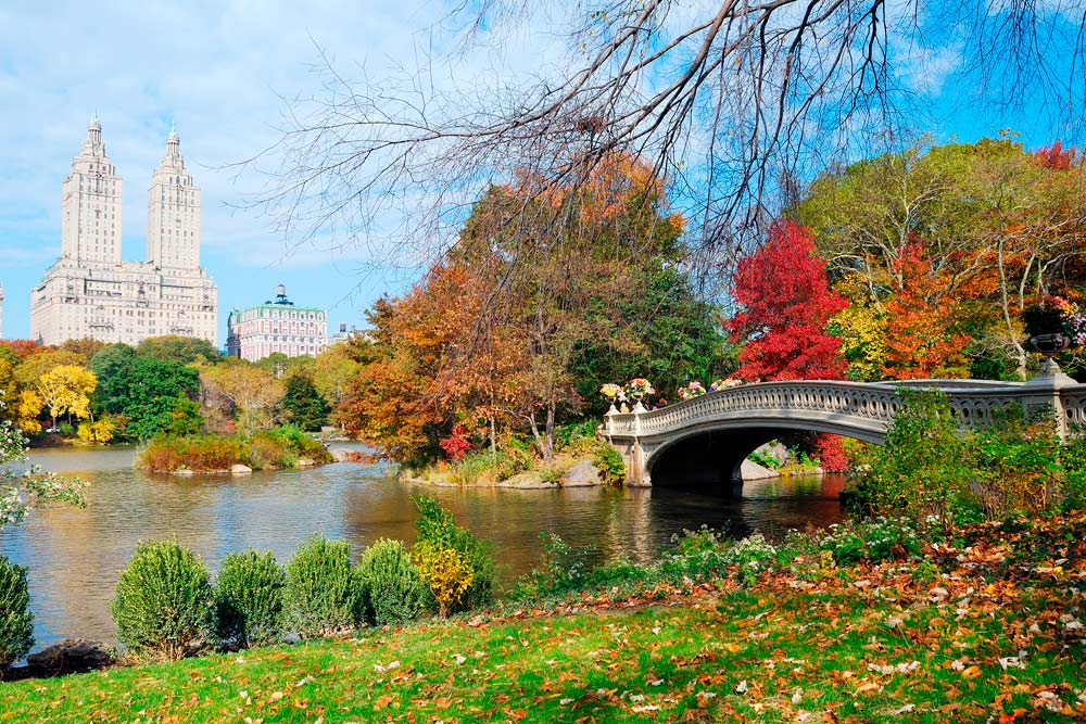 New York Ellington West Village/ Lower Manhattan - Luxury Destination Club NY