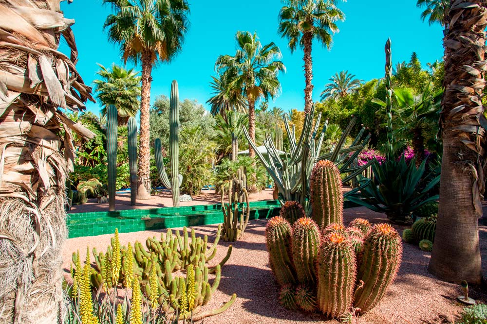 Marrakech Riad Hayati - Luxury Destination Club Morocco
