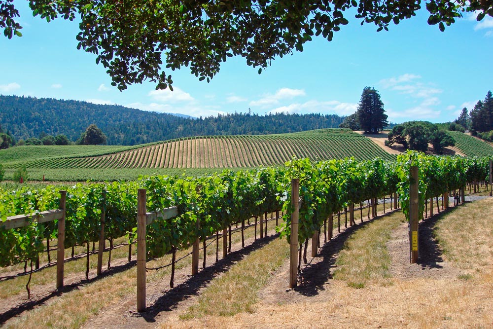Napa Valley Indian Gap - Luxury Destination Club California
