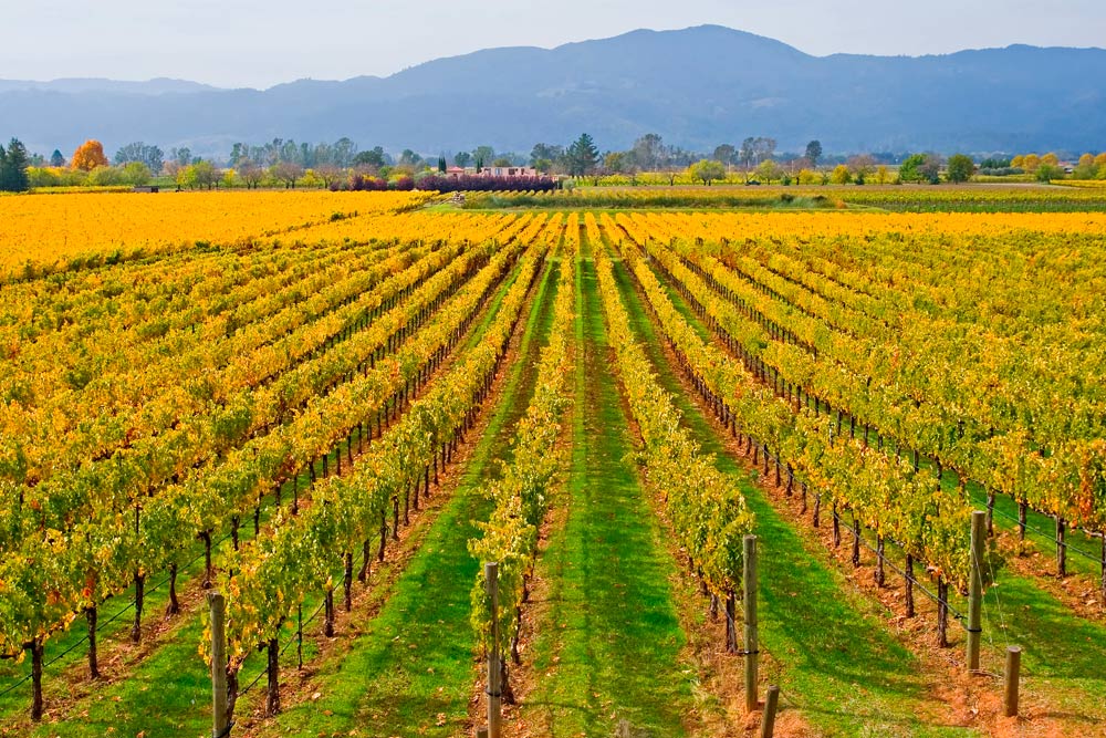 Napa Valley Indian Gap - Luxury Destination Club California