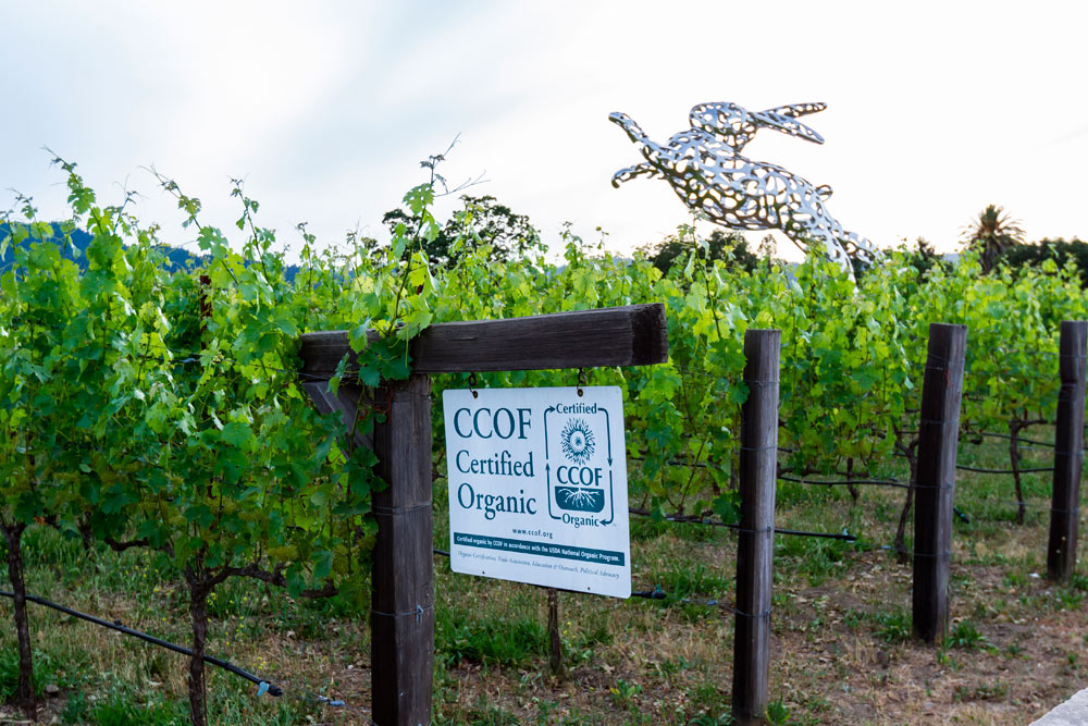 Napa Valley Indian Gap - Luxury Destination Club California